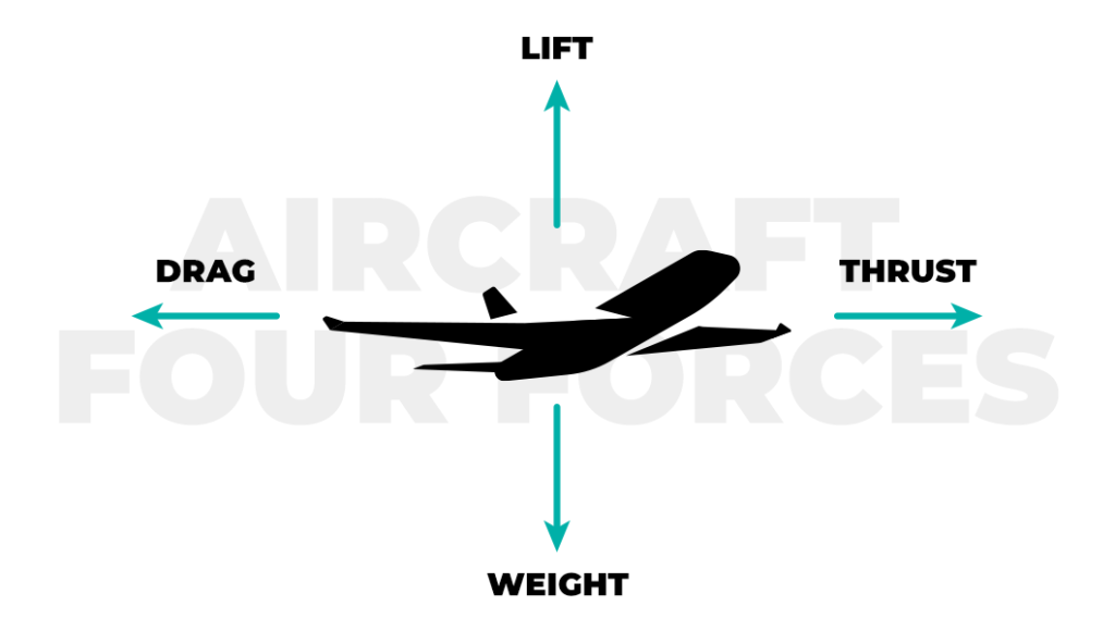 Four forces of flight